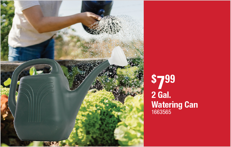2 Gal. Watering Can